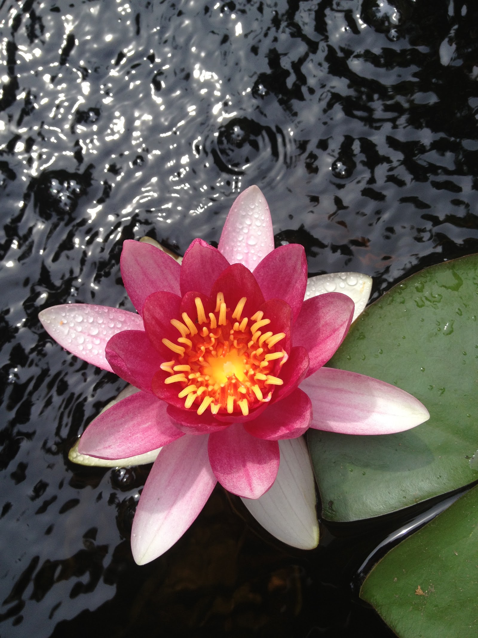 Be Good To Yourself Massage Therapy LLC — photo