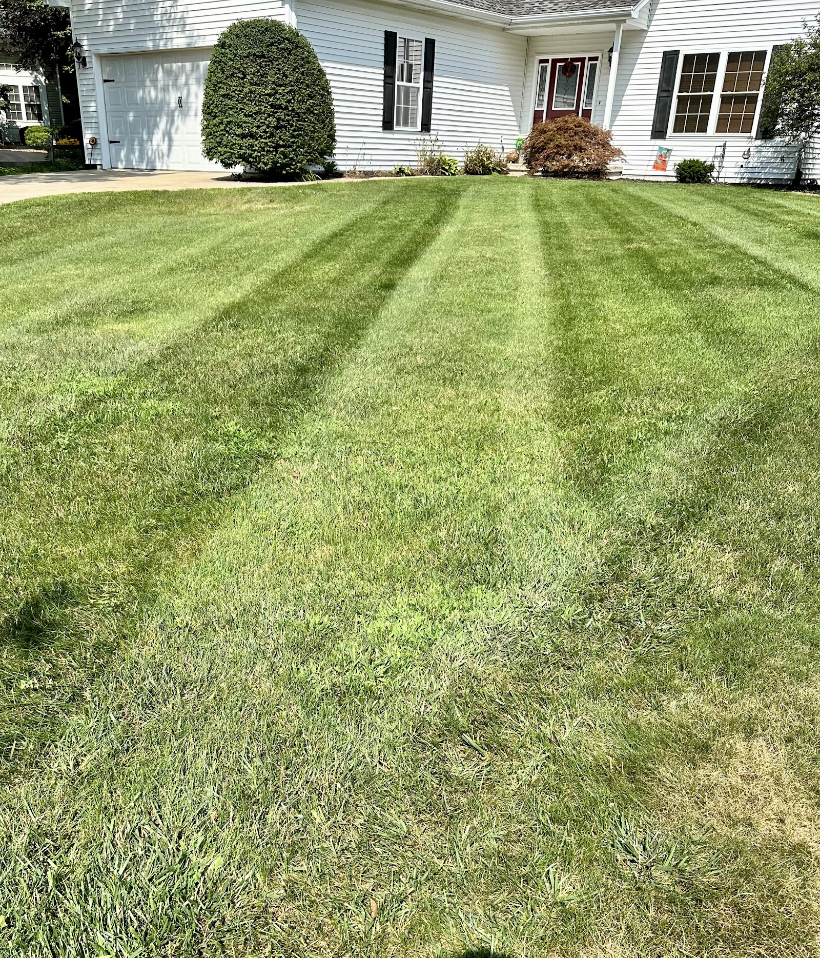 Beards Lawncare & Landscaping in Midland