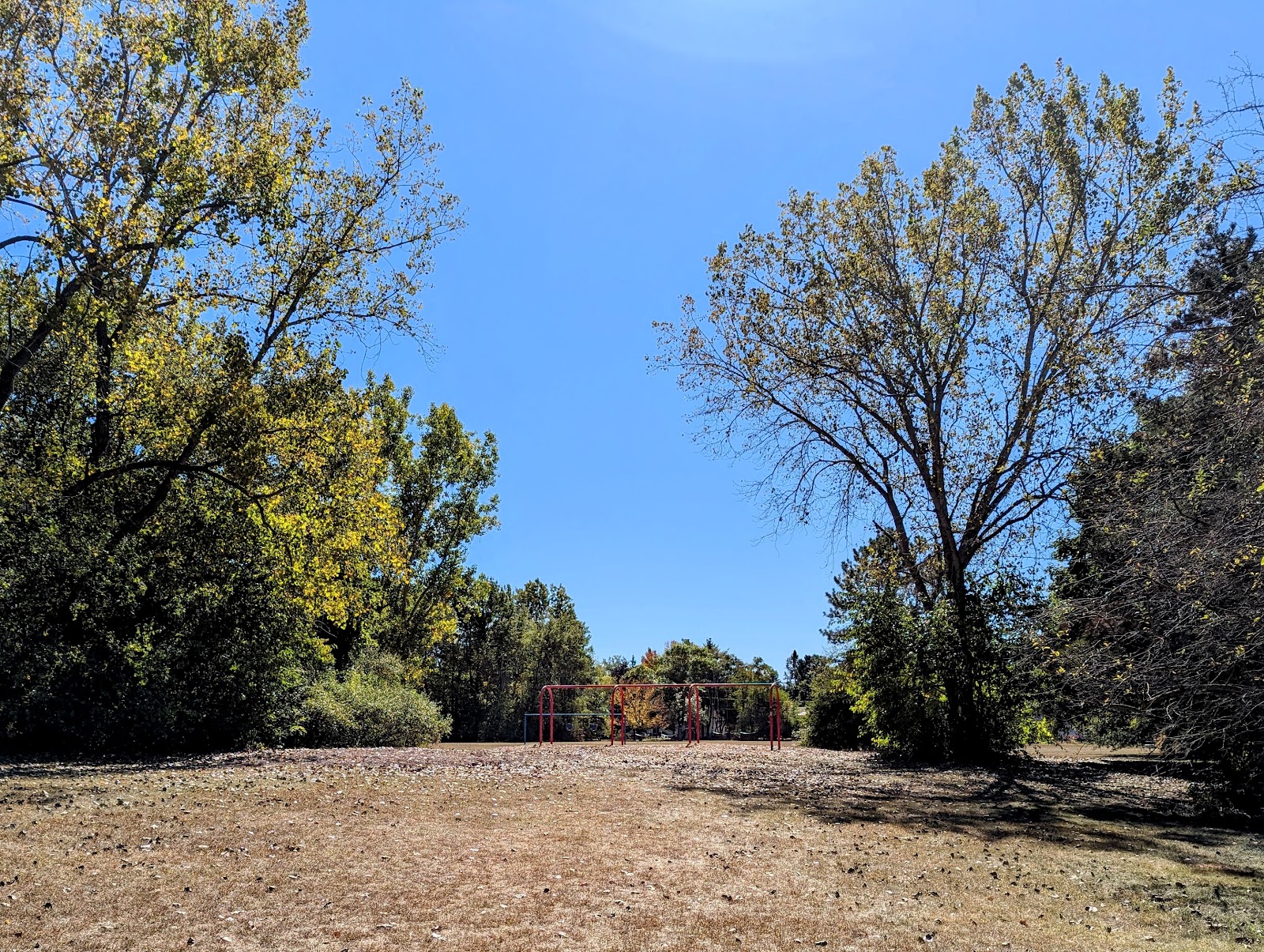 Briarwood Park in Midland