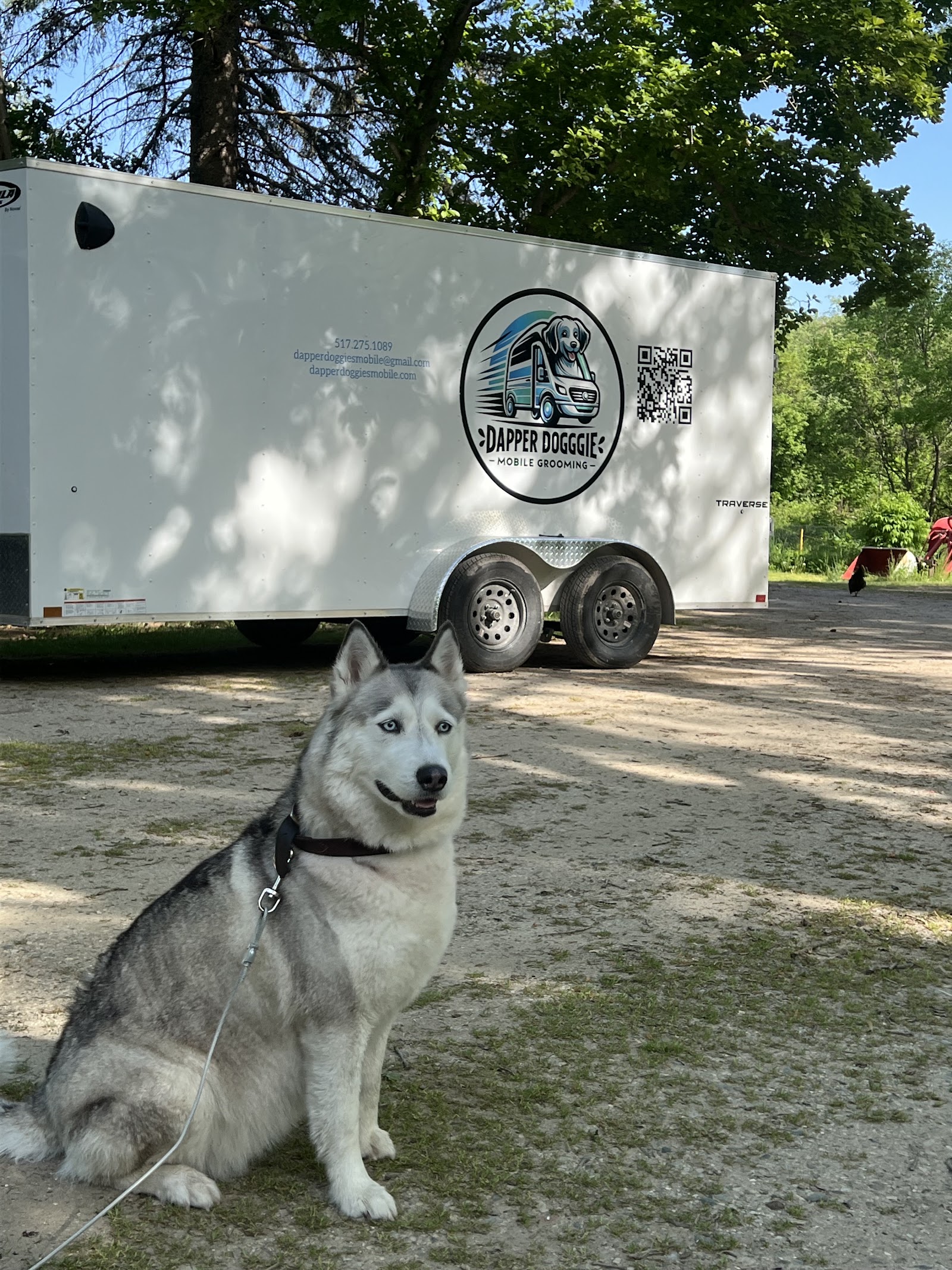 Dapper Doggies Mobile Grooming in