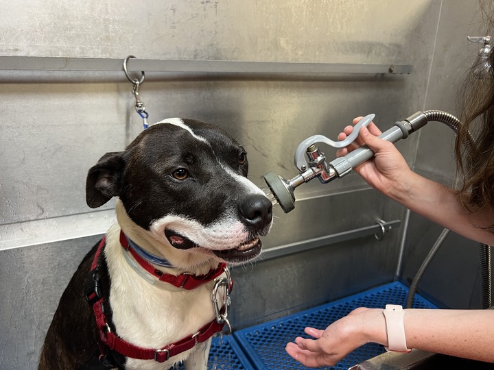 Feeders Pet Supply Grooming & Pet Wash in Midland