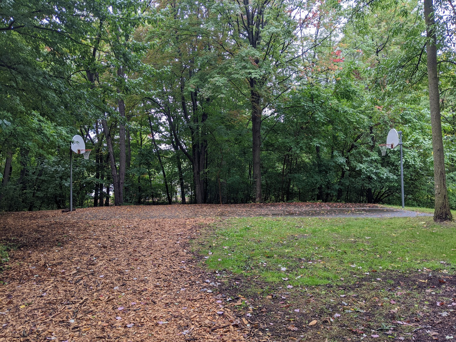 Hintz Park in Midland