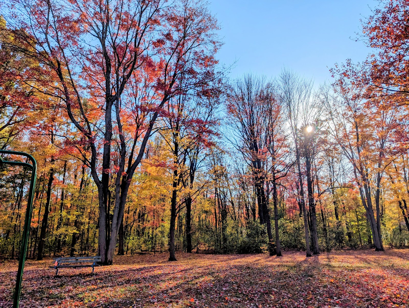 Kaufman Park in Midland