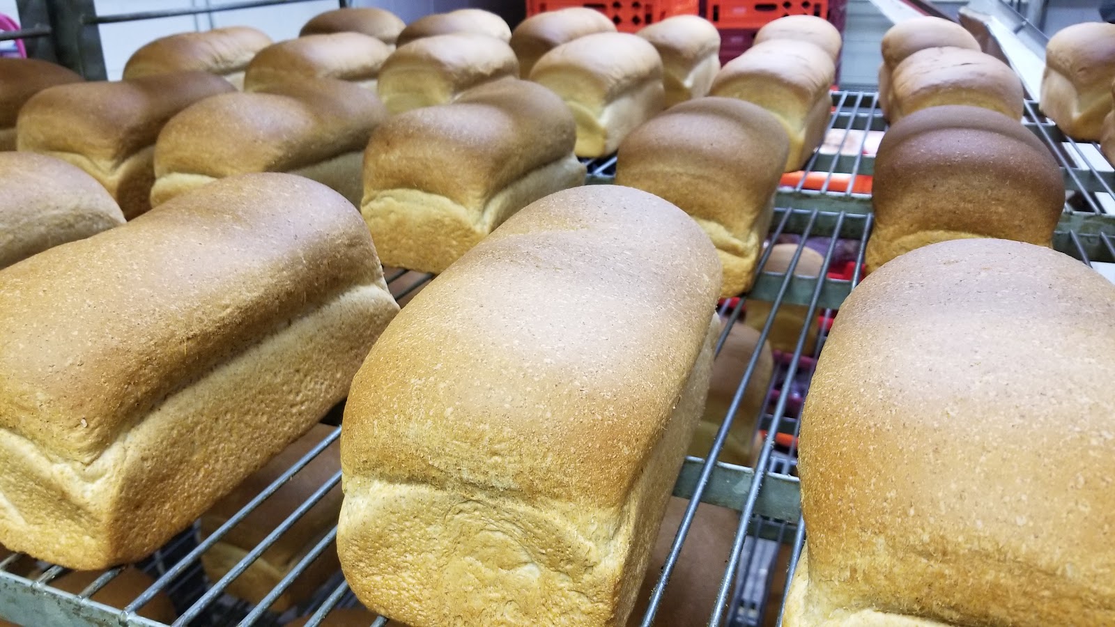Scratched Bread in Midland