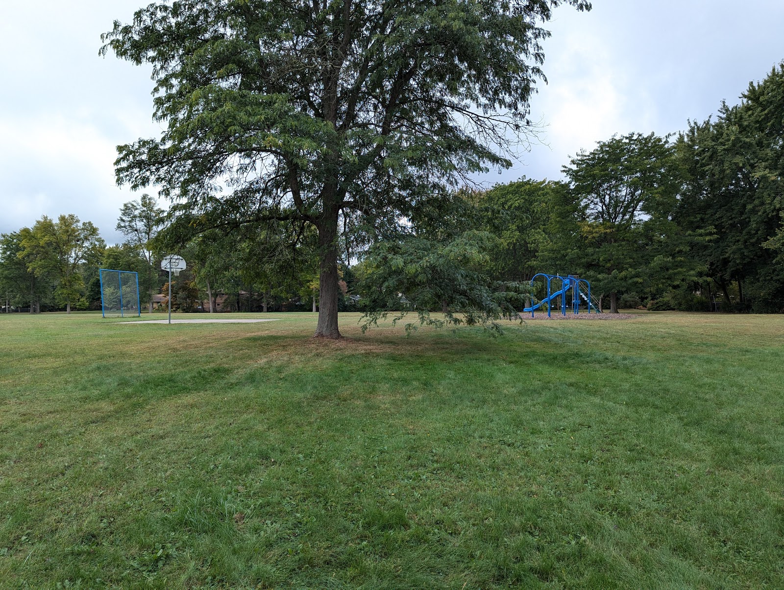 Wyndemere Park